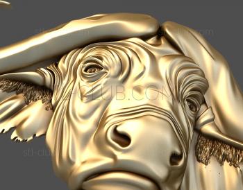 3D model Buffalo head (STL)